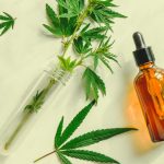 Some tips to use CBD oil for cats